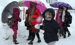 Bitlis'te kar yağışı nedeniyle okullar tatil edildi