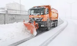 Bitlis’te 203 köy yolu açıldı: Diğer yolların açılması için de çalışmalar sürdürülüyor