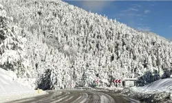 Karabük’te Kar, Hayatı Olumsuz Etkiliyor