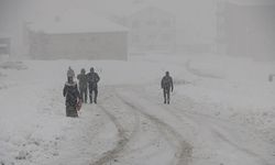 Hakkari’de Kar Etkili Oldu, Yollar Ulaşıma Kapandı