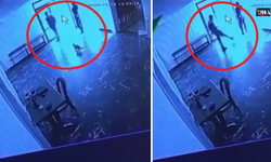 Belediyeye Ait Tesiste Kediye Tekmeli Müdahale