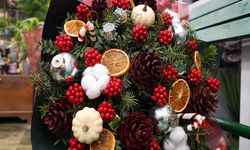 Kokina Çiçeği Yılbaşı Öncesi 500 Liradan Satışa Sunuldu