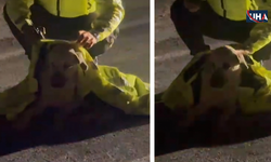 Yaralı Köpeğe Polis Şefkati: Köpeğin Üstünü Kendi Montuyla Örttü