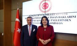 Meclis’te Kamu Denetçisi Seçimi Gerçekleştirildi