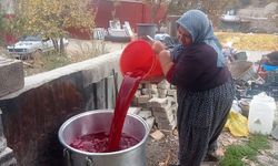 Mersin'de Kadınların Nar Ekşisi Mesaisi Sürüyor