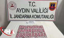 Otomobilden Yasaklı Madde Çıktı Sürücü Gözaltına Alındı