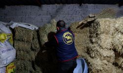 Nevşehir’de Rüşvet Operasyonunda 4 Kişi Gözaltına Alındı