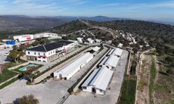 Sahiplendiği 2 Köpeği Sokağa Terk Eden Kadına 172 Bin 716 TL Ceza