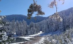 Sarıçiçek Göleti Tamamen Buz Tuttu, Manzara Dikkat Çekti
