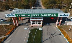 2025’te Sukkar Şeker’in İşlediği Pancar Miktarı 515 Bin Ton