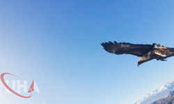 Kartalın Kaptığı Dron 6 Saatlik Tırmanış Sonucunda Geri Alındı