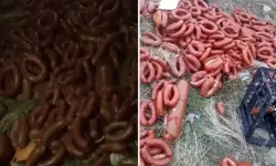 Ankara’da yüzlerce kilo et ürünü boş araziye atıldı