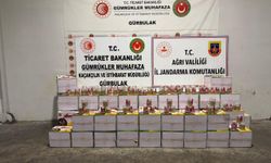 TIR’daki Kavanozlarda 163,9 Kilo Eroin Bulundu