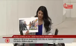 TBMM’de LGBT karikatürü gerginliği