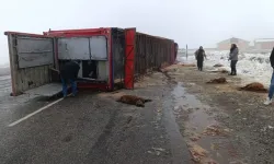 Ağrı'da hayvan yüklü tır yan yattı: 10 küçükbaş telef oldu