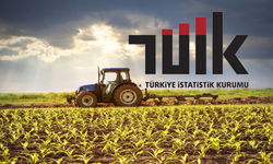 TÜİK: Tarım Ürünleri Fiyatları Aylık Yüzde 1,56 Düştü