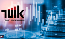 TÜİK: Yenilik Yapan Girişimlerin Oranı Yüzde 39,6.