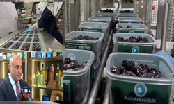 65 Ülkeye İhraç Edilen Türk Zeytini, Çikolata ve Kozmetik Ürünlerle Raflara Girecek