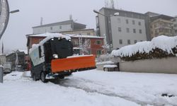 Van’da 102, Hakkari’de 70 Yerleşim Yerinin Yolu Kapandı
