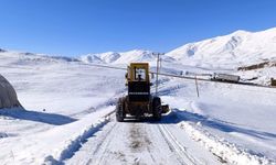 Van’da Karla Kapanan 90 Yerleşim Yolundan 55’i Açıldı