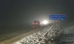 Van’da kar ve sis, trafiği zora soktu