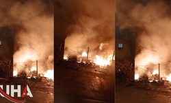 Adana’da Geri Dönüşüm Fabrikasında Yangın Çıktı