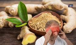 Zencefilin Migren Üzerindeki Etkileri Bilimsel Olarak Ortaya Çıktı