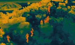 Göçmen Kaçakçılığına Büyük Darbe: 15 İlde 50 Tutuklama