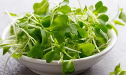 Pazarlama Stratejilerinin Gölgesinde Kalan Gerçek Sağlık Deposu