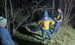 Tarladaki Anız Yangınında Dumandan Etkilenen Kişi Öldü