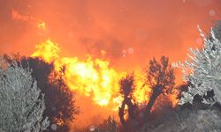 Antalya’da Çıkan Orman Yangınına Müdahale Ediliyor