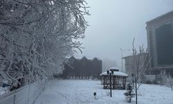 Ardahan Buz Kesti; Soğukta Kaş Ve Kirpikler Dondu