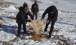 Batman’da Yaban Hayvanları İçin Doğaya 1 Ton Yem Bırakıldı