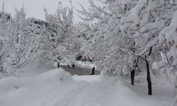 Bitlis’te Yoğun Kar Nedeniyle 111 Köy Yoluna Ulaşım Yok