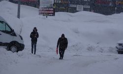 Bitlis'te Kar Yağışı Nedeniyle 229 Yerleşim Yolu Kapalı