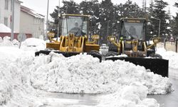 Bitlis’te Kardan Kapanan 210 Köy Ve Mezra Yolu Açıldı