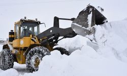 Bitlis’te Kar Durdu, Kapalı Yollar Açıldı