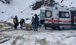 Batman’da Kardan Yolu Kapanan Köydeki Hasta 7 Saatte Ambulansa Ulaştırıldı