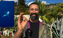 Dalgıçlar Camgöz Köpek Balığını Kurtardı