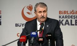 Destici: Ailemize Sahip Çıkacağız