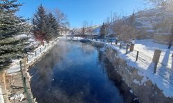 Eksi 30 Derecede Doğa Harikası: Balıklıgöl Donmuyor