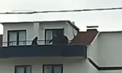 İhraç edilen ve cezası bulunan üsteğmen, saklandığı çatıda yakalandı