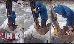 Dere Yatağında Kalan Yavru Köpek Kurtarıldı