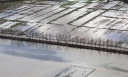 Menteşe’de 2 Günlük Sağanakta Metrekareye 60 Kg Yağış Düştü