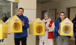 Sokak Kedileri İçin Plastikten Yuvalar Yaptılar