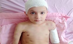 Tunahan’ın Ailesine Köpek Saldırısı Sonrası 5 Milyon TL Tazminat