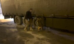 Narkotik Köpeği Mailo TIR’daki 51 Kilo Esrarı Ortaya Çıkardı