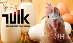 TÜİK Verileri: Tavuk Eti, Yumurta Ve Süt Üretimi Düştü