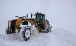 Van’da Kar Nedeniyle Kapanan 278 Yerleşim Yerinin Yolu Açıldı