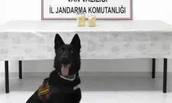 Van’da Yolcunun Üzerinde Yasaklı Madde Ele Geçirildi